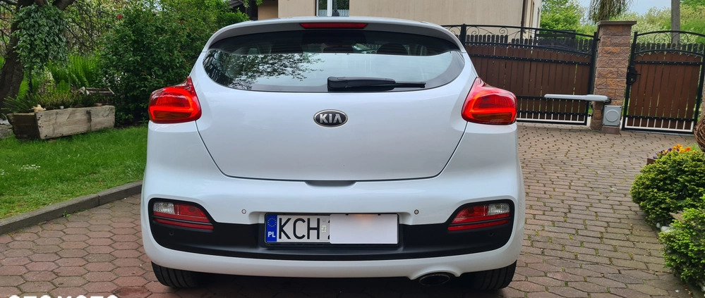 Kia Pro_cee'd cena 33900 przebieg: 190000, rok produkcji 2013 z Kietrz małe 781